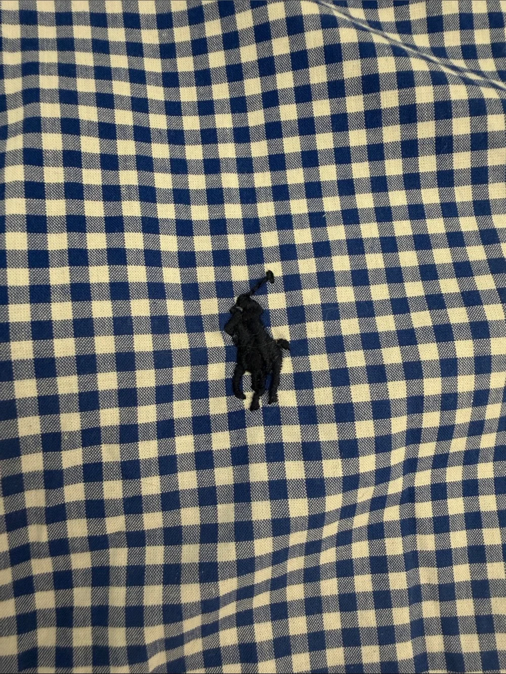 Ralph Lauren Kids Blue and White Gingham Button-Down Shirt